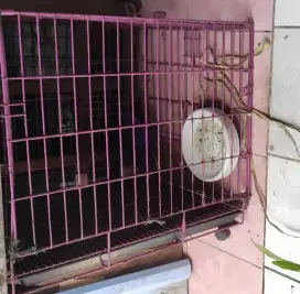 Kandang  Besi kucing lipat