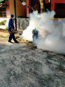 Jasa fogging nyamuk DBD