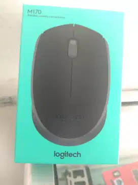 Mouse Logiteck Wireless M170