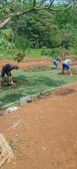 Pembuatan taman dasar untuk rumah,kantor dll.