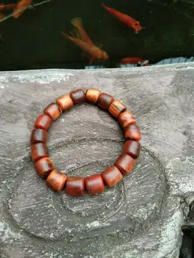 gelang gaharu agatis atau kayu raja