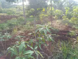 Tanah kavling siap bangun dkt transmart cilengkrang