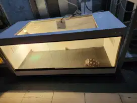 Kandang Kura Sulcata Aldabra Istar Tortoise lengkap