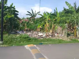 Jual tanah murah siap bangun diSekip Tengah Lt 321/m2 Hrg 850 jt nego