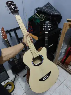 Gitar akustik apx tanam besi
