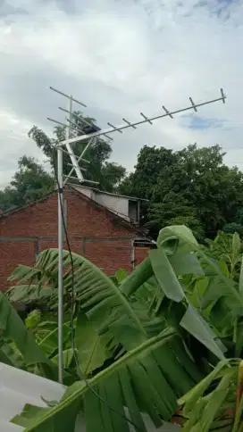Digital antena televisi