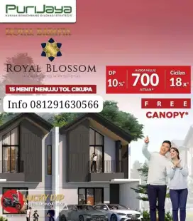 Royal Batavia blossom