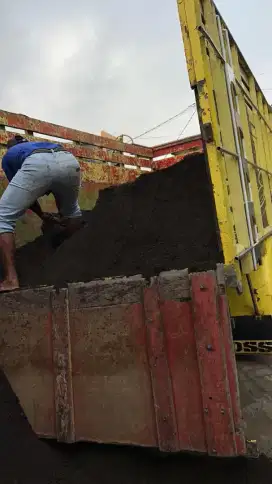 Pasir Lumajang cor dan plester