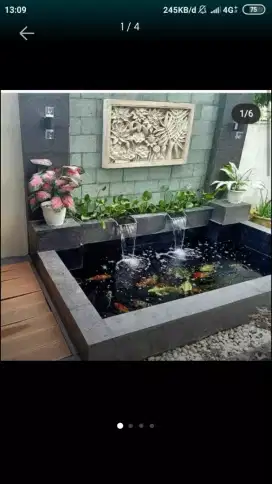 Spesialis kolam ikan koi