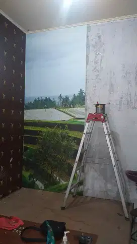 Menerima jasa pasang wallpaper costeum 3D