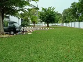 Tukang rumput cipanas/tukang taman di Cipanas