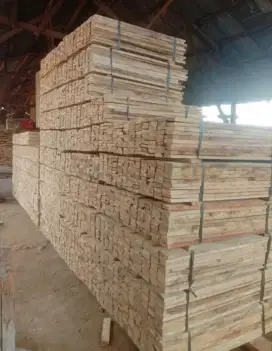 Papan Kayu Jabon dan Albasia