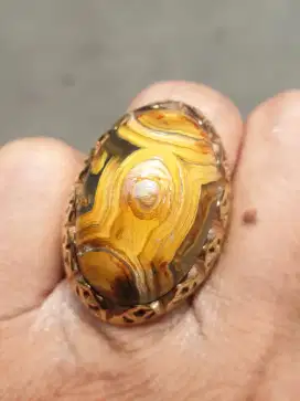 Natural Batu Akik Karang Nunggal Unik Antik