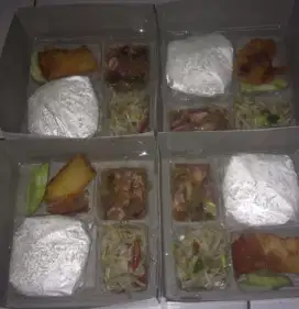 Paket nasi kotak Nasi box dengan aneka sayur siap kirim