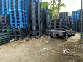 Pet plastik bekas