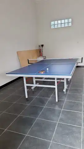 Tennis meja/meja pingpong