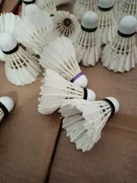 shuttlecock bekas layak pakai