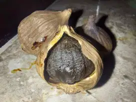 Bawang Tunggal Hitam ( Black Garlic )