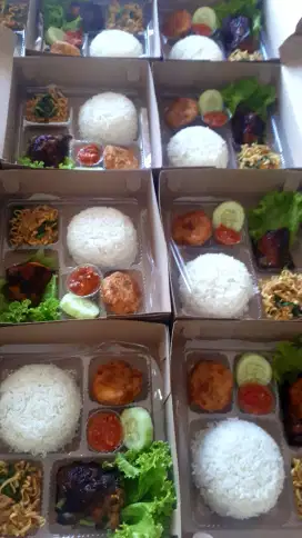 Nasi Kotak, catering harian, snack box dll