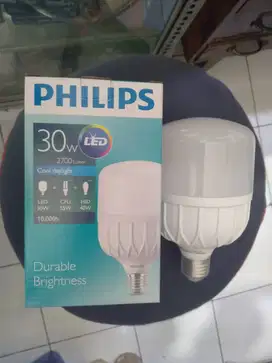 Philips LED Essential 30 watt