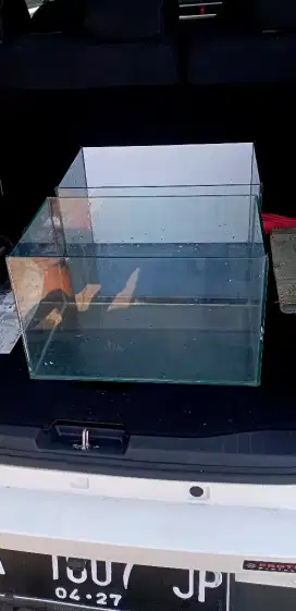 Aquarium baru 40x25x25