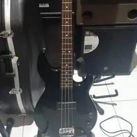 Ready Fender Epiphone lespaul Strainer Yamaha Ariapro Dean Takamine