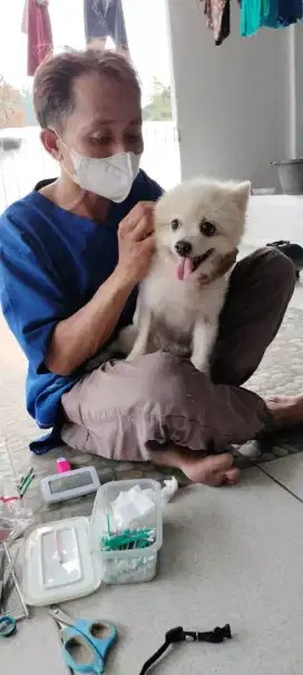 Grooming panggilan kerumah
