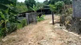 Dijual Lahan Usaha di Tanjung Rasa, Tanjung Sari, Bogor