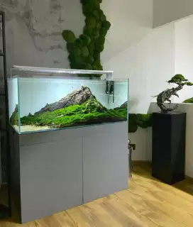 Aquarium Bagus Murah