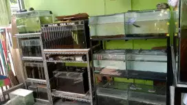 Dijual aquarium full 16 set beserta isi ikan & rak nya