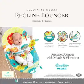 Baby bouncer dengan musik dan getar