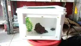 Kandang hamster box awet bagus reptil kura tarantula terarium serangga