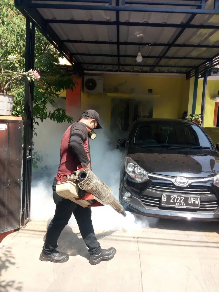 fogging demam berdarah