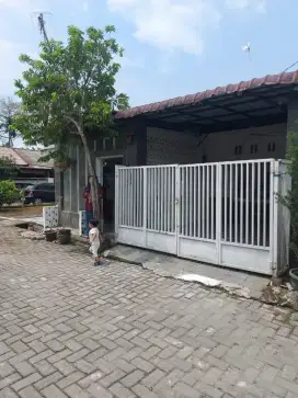 Di jual cepat rumah  Rp.245.000.000