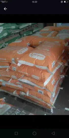 Mortar acian putih