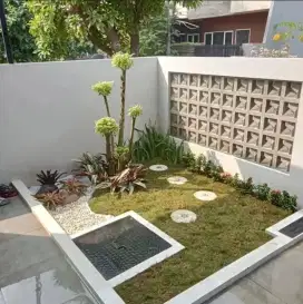 Taman rumah rumput gajah mini