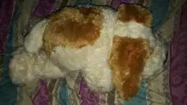 Boneka funny dog white brown edition