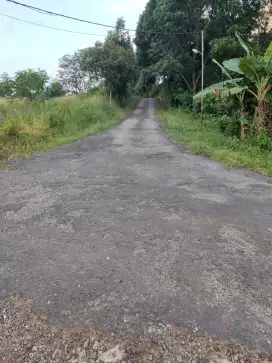 tanah sangat subur dan ada mata air