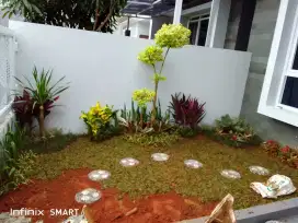 Pembuatan taman rumah cod