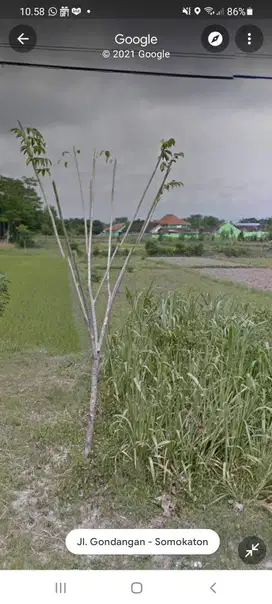 Tanah Dijual Murah