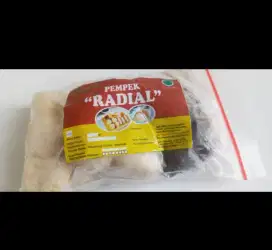 Pempek radial palembang