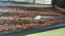 Kerupuk/dorokdok kulit sapi super 10 kg