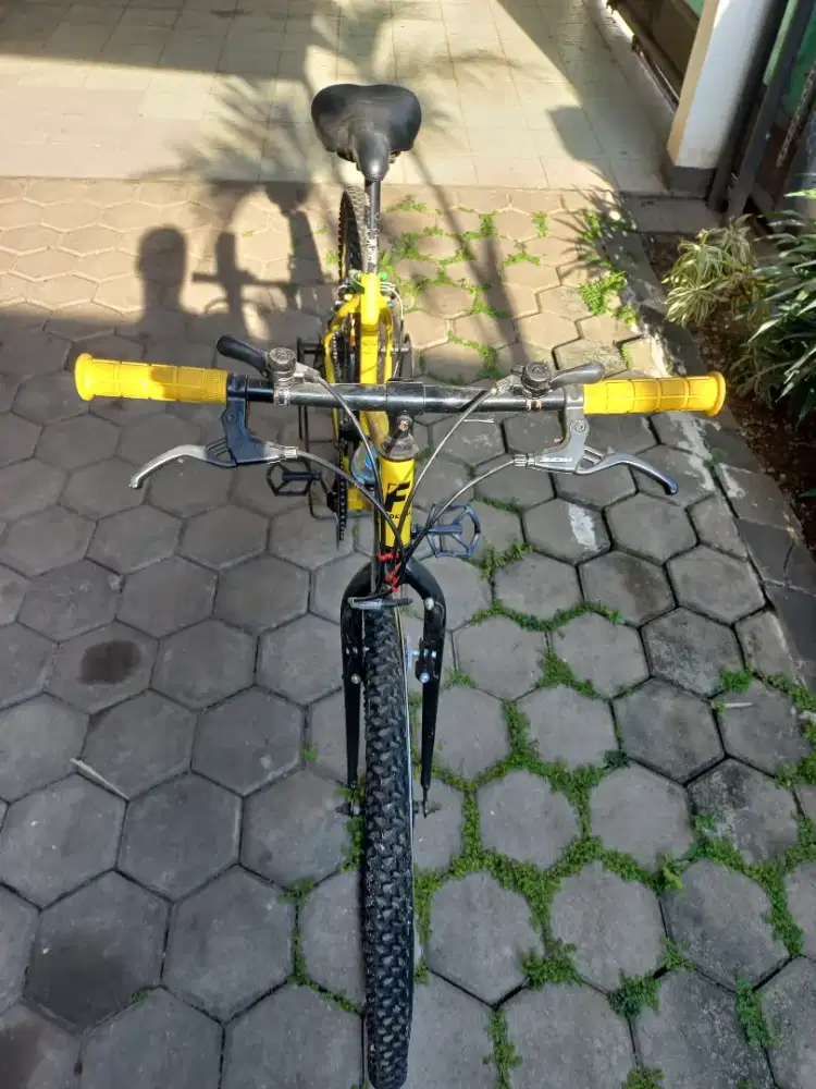 Sepeda federal fc745xxx torino terrain