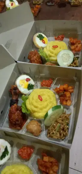 Nasi kotak , tumpeng mini