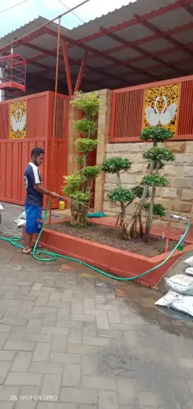 Jasa tukang taman