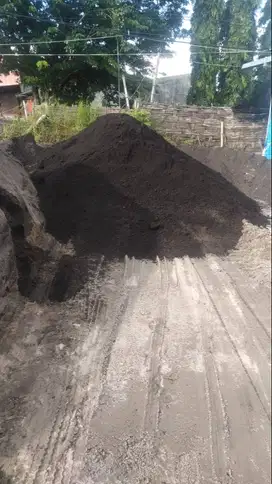Pasir Probolinggo dan supplier material alam lainnya