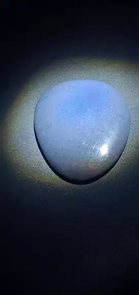 Black oval solid ( 161203 )