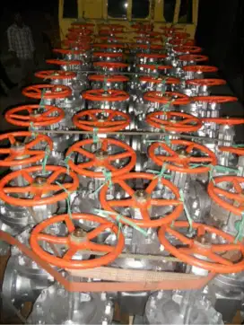 Gate Valve & Globe Valve