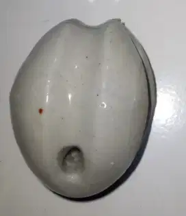 ISOLATOR KAWAT PANCANG SPANNER TOWER BAHAN KERAMIK BENTUK TELUR
