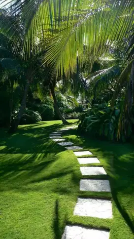 Taman yang serba hijau dengan di tanami bermacam-macam jenis rumput